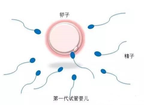 蘇懷安